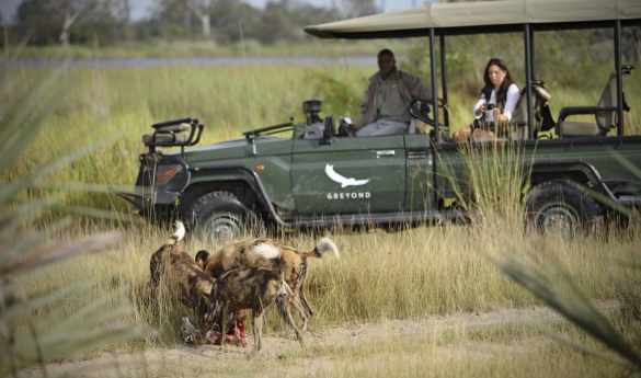 Game drives in the Okavango